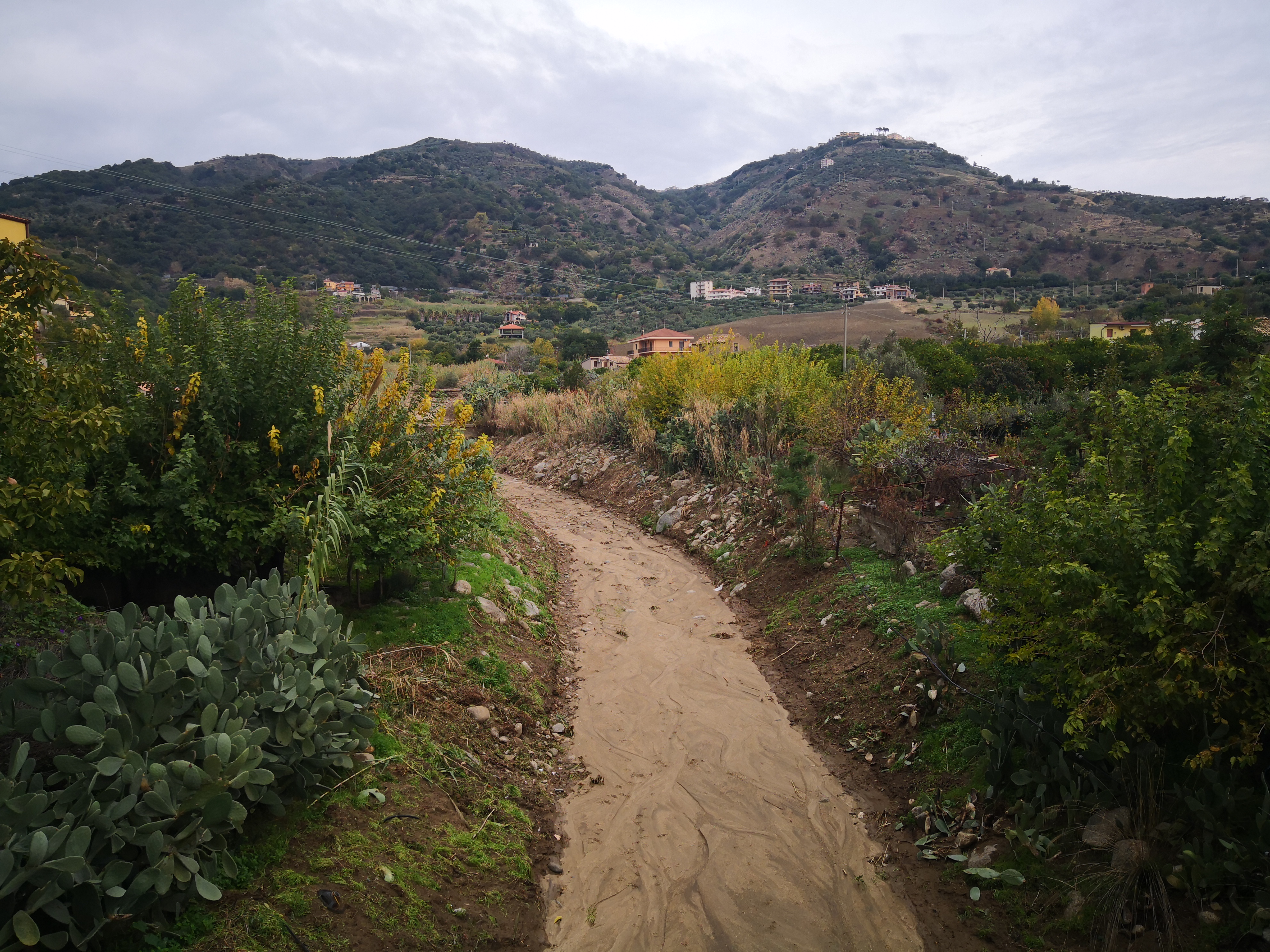Manutenzione torrente Orcolo